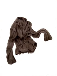 Pull marron abject, 2004